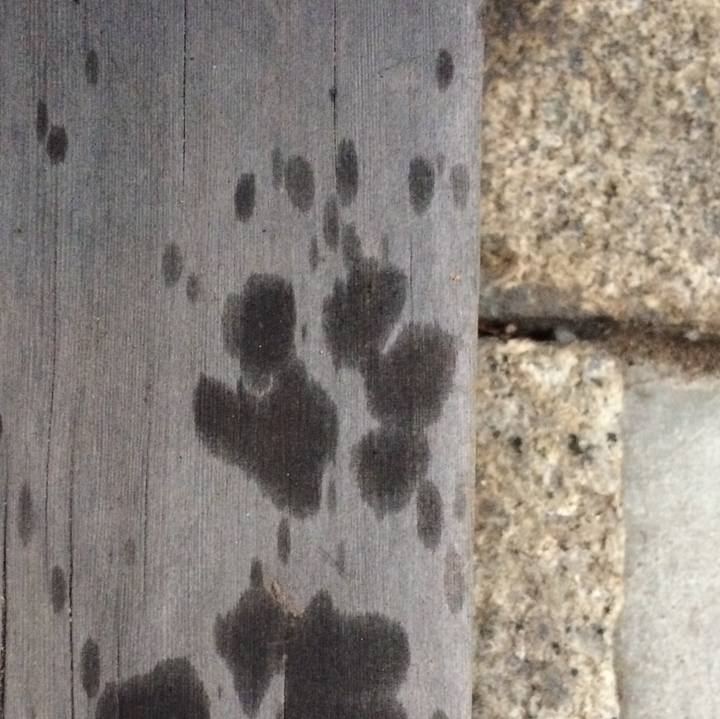 D9831a9b ca3c 48e6 aebf 31f0e7509786