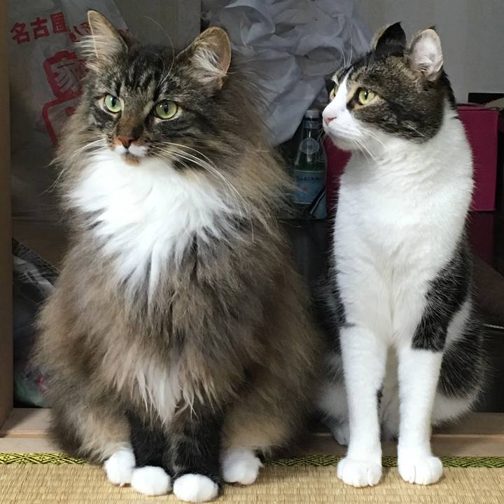 D9832ae7 648e 4149 afe8 8b266efa5b39