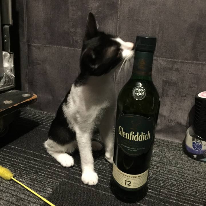 D9840a9f 007a 47a8 a73b df8ab7926103