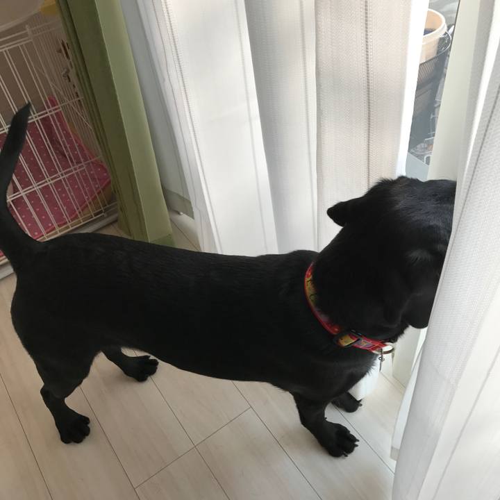 D984dd42 3e79 4590 a824 6f55b0dacaa7