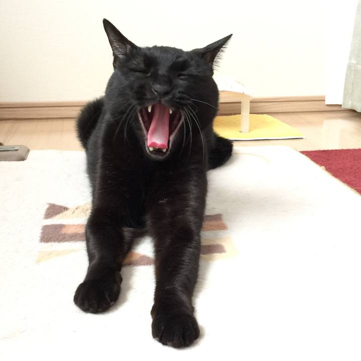 D9854fec 1c2a 4517 a8ad 71568f1da57c