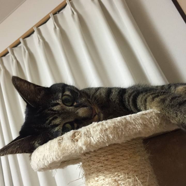 D9858825 afac 49f9 810f 883b849fc20c