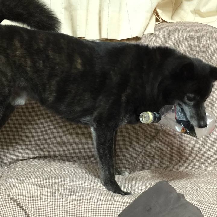 D985b513 56a0 4652 9d2b baa02f02303c