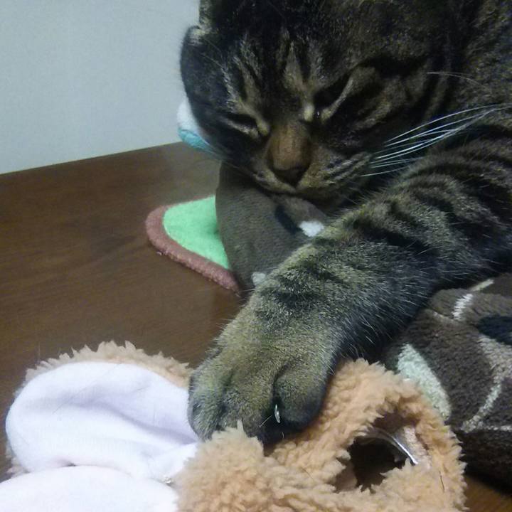 D985e2ea 5a89 45f6 8929 46214c6e53a4