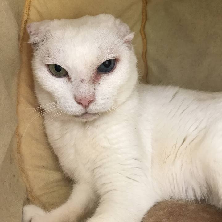 D9862276 b9d8 4a2d 9c40 30cf99fc2fcf