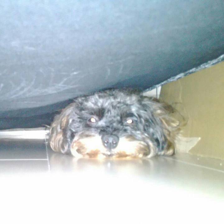 D98669ae 7ebc 45cd aa31 adcdb77043d4