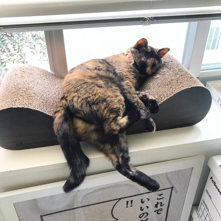 D986c165 a7b2 4ebc b801 d00dbc73ee39