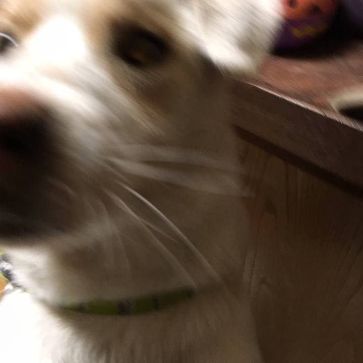 D987a733 9063 431d a3f3 da4be50bca85