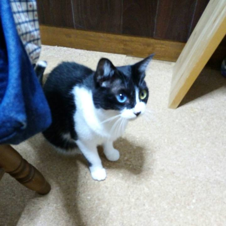 D987be8f 2a4a 45b3 82ef 44339deb7557