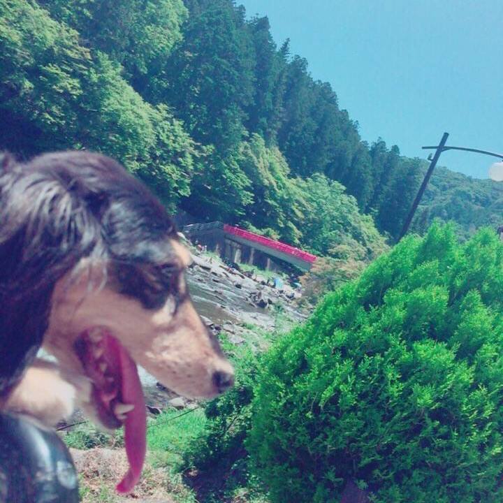 D987d25e 0eaa 4acd 841d 891397f4cb3a