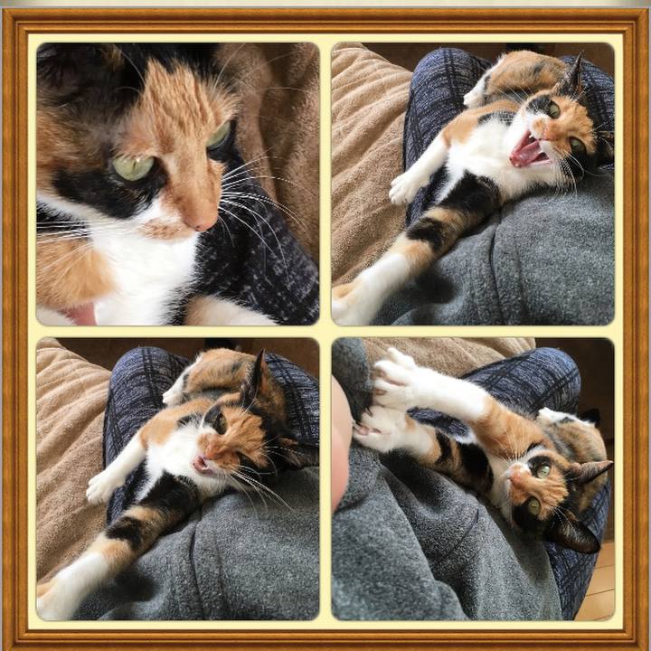 D987e9fb c440 469f 9302 ca7c81878974