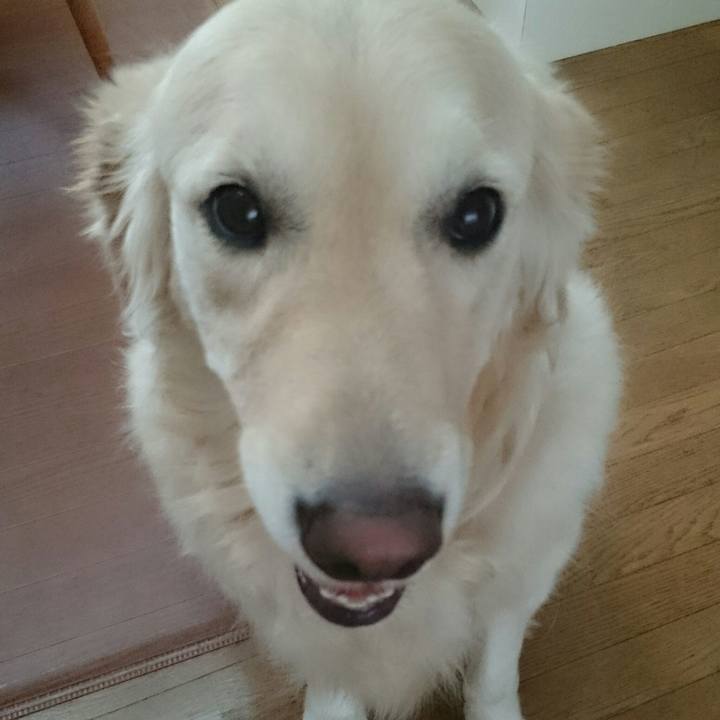 D98804af 7e55 46f5 9285 3e78914282ce