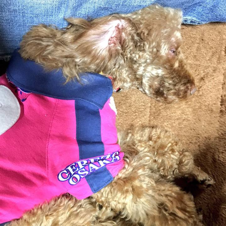 D9881f14 5bc8 49dc 9056 504ebe829898