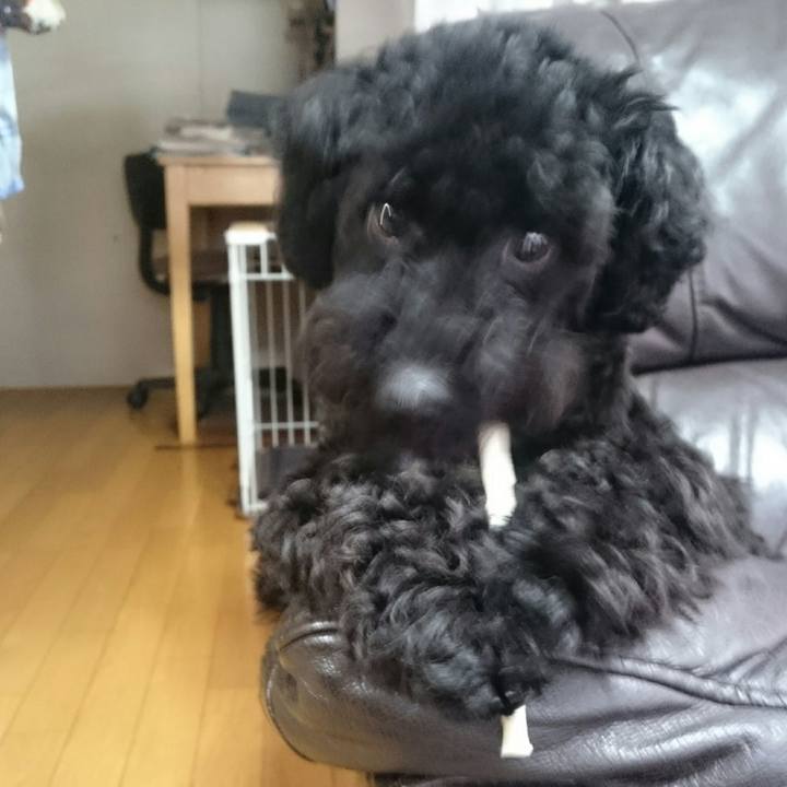 D98863f1 fe18 419d 8825 471a28897330