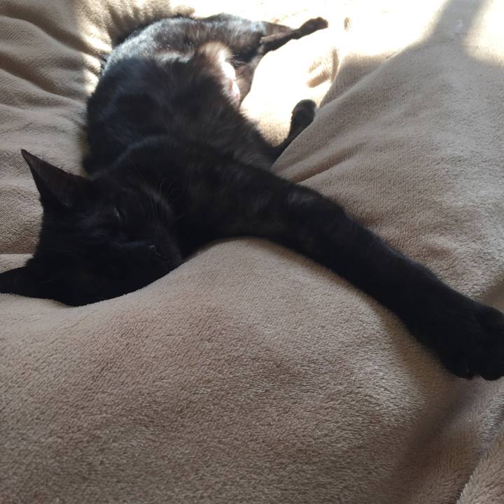 D9888bb4 ff5a 4fe7 a57b 43784f183fc3