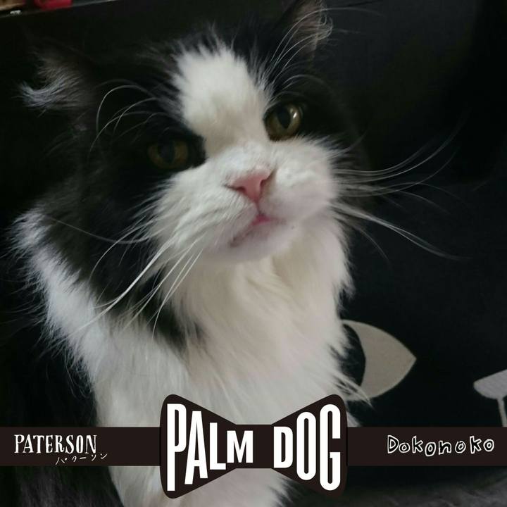 D9888eb3 c375 44ba aab7 99cf018d2f8b