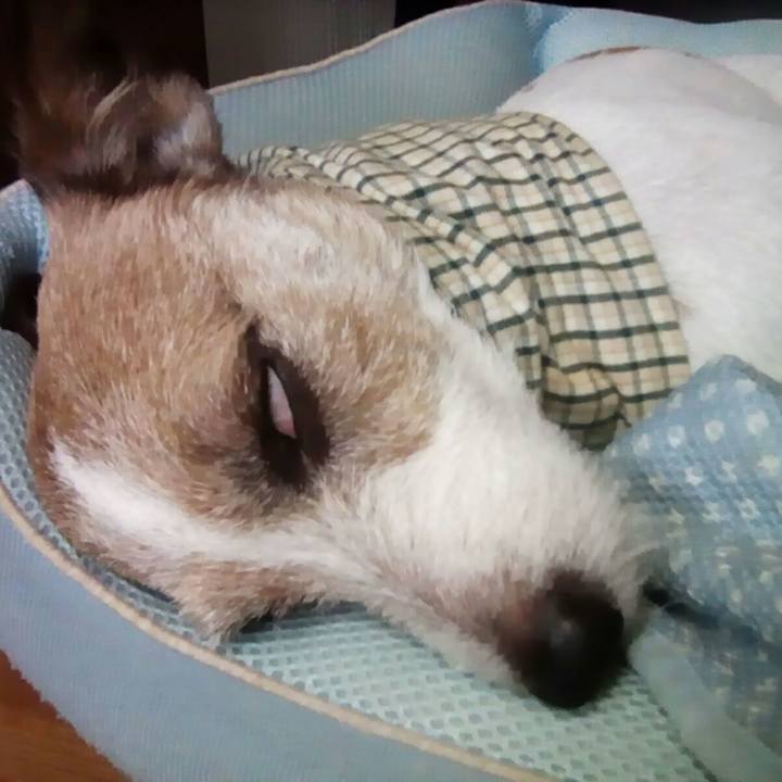 D9896e48 78fd 4f4e 844a 47f5c4cf8894