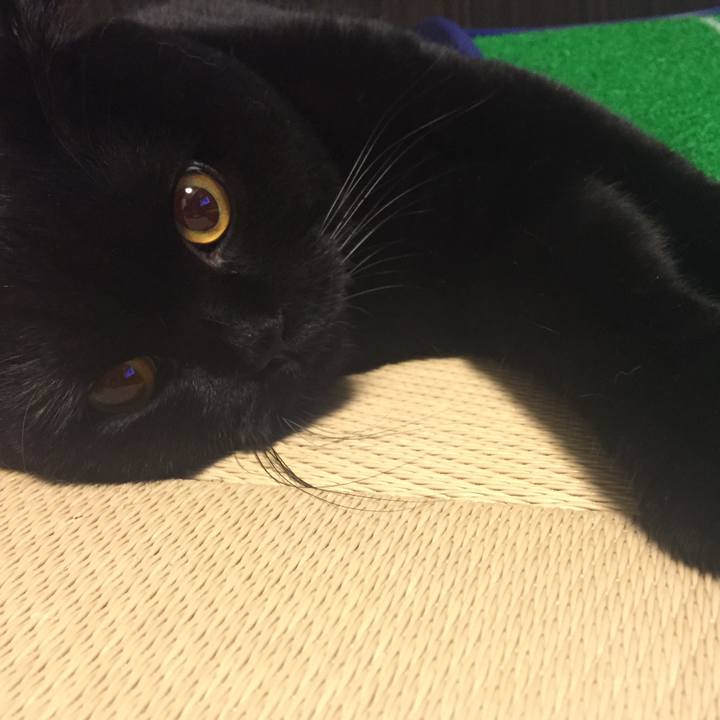 D9898833 e199 4b6a 940d d3cc77433963