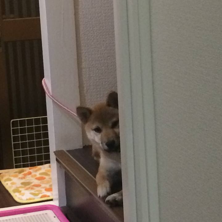 D98a03a1 479a 49e4 a884 aeda5e71ff88