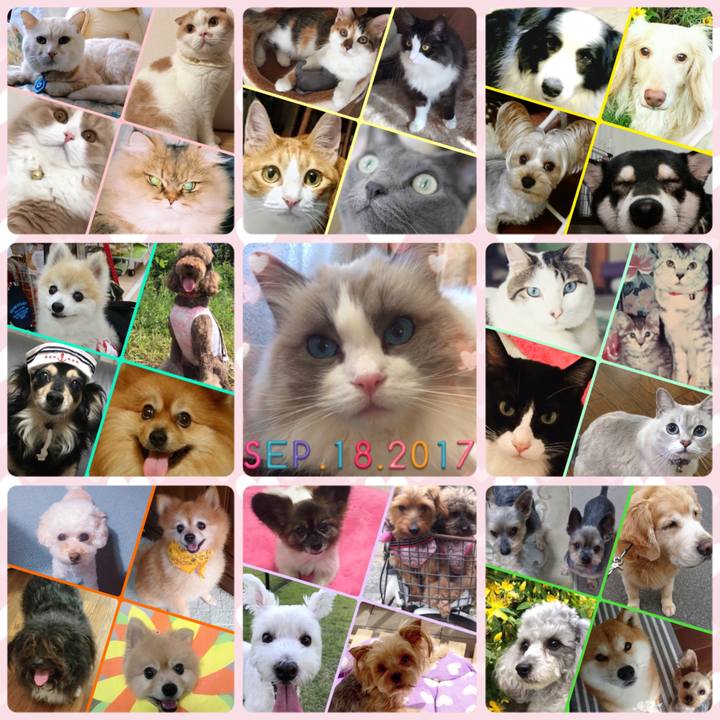 D98a70d8 3de7 4076 aff7 eb9572abe318