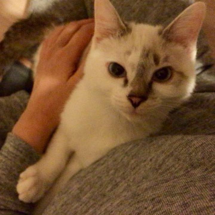 D98aa332 0f4b 405f a145 d57931ab6dd3