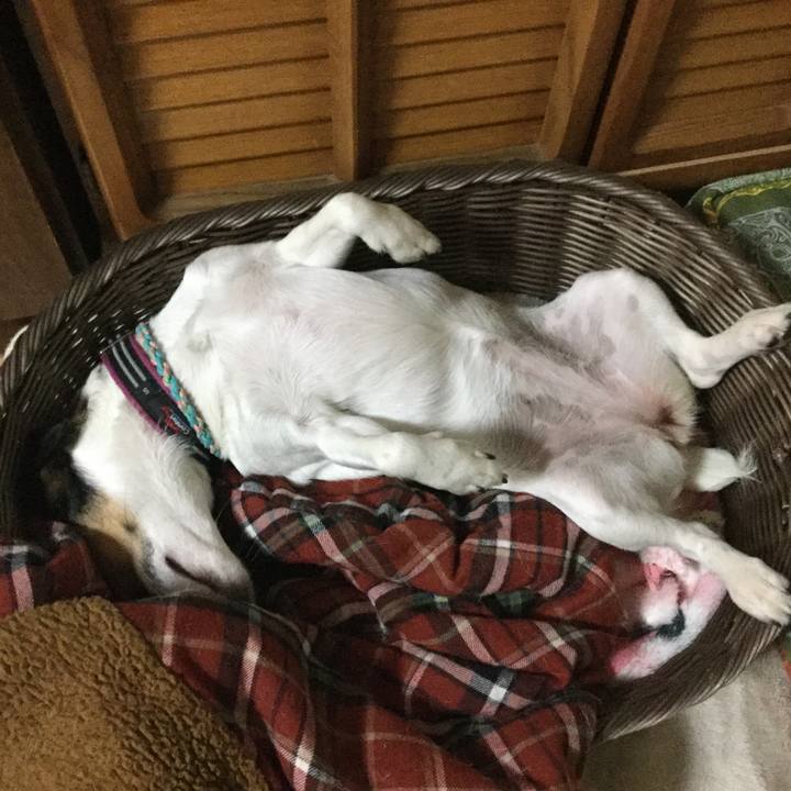 D98b245c 4f08 4ec7 8073 78d40123db24