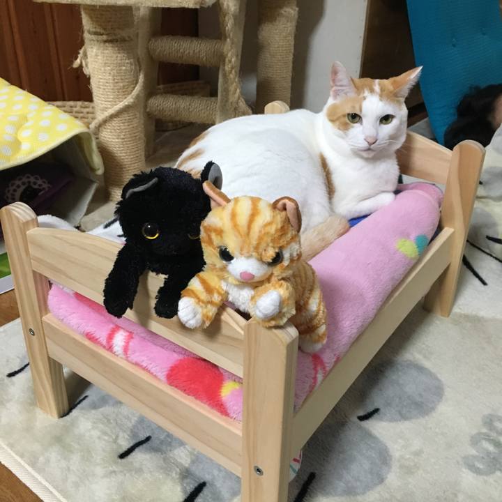 D98b93dd 5c26 4ffc b6ca 879cfdf919e6