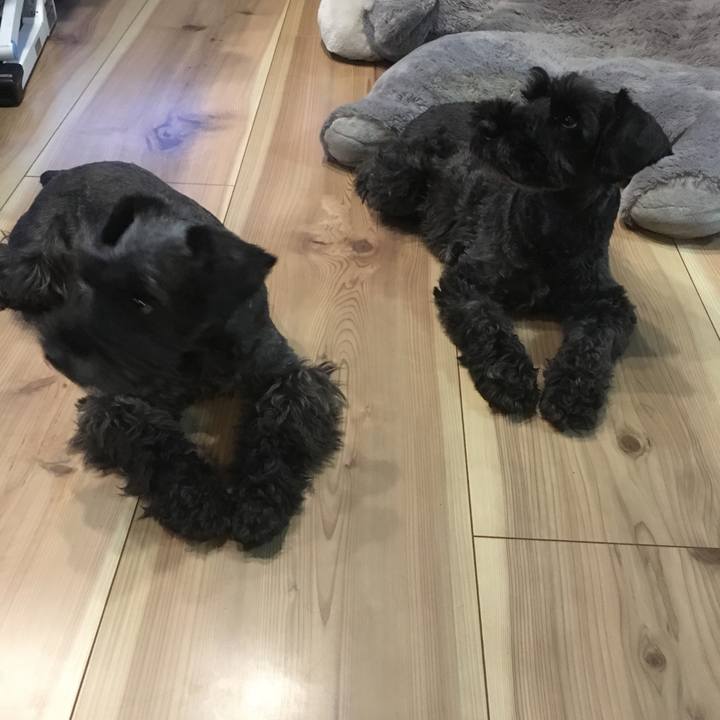 D98bae5a 2b76 43f5 a3fe e1cc362029b4