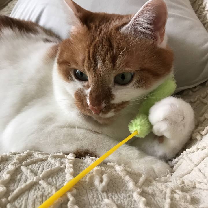 D98cb870 2147 41df 82a9 d8eb77c59ced