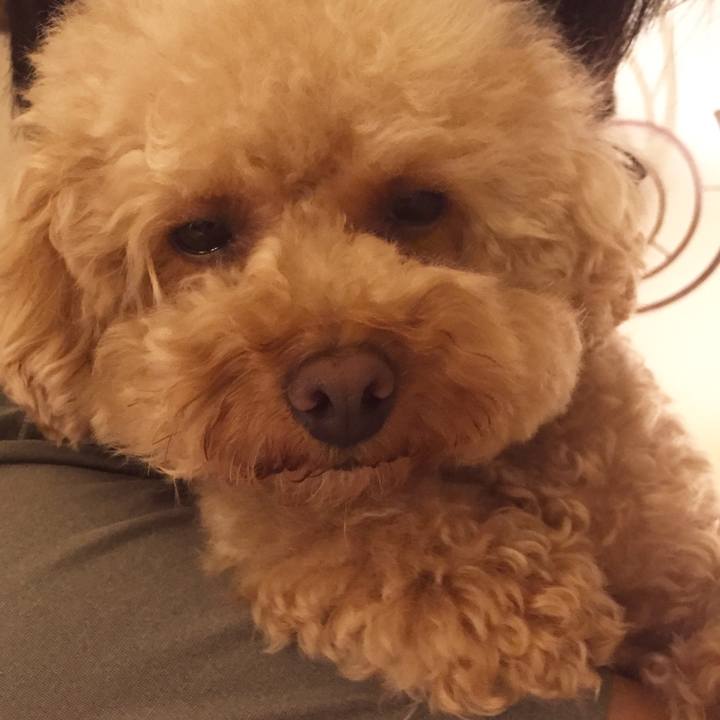 D98cbd5a dd24 4a85 97a5 81d30dc8e864