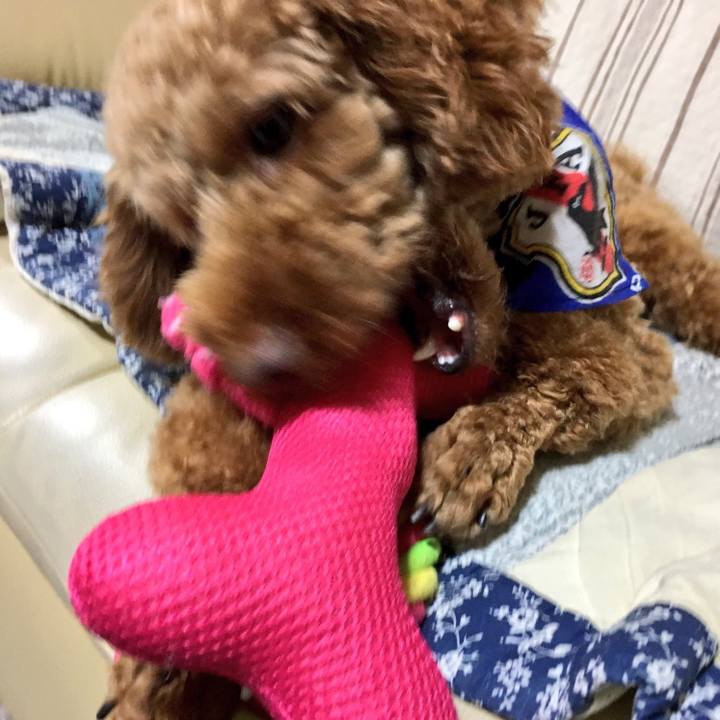 D98d9d3b 092c 4af2 80b5 a845d2ee3d33