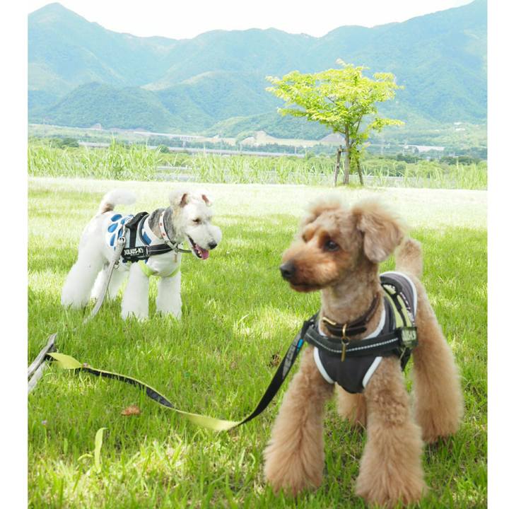 D98e01f8 43e6 40b0 a85e 384ca960c3b9