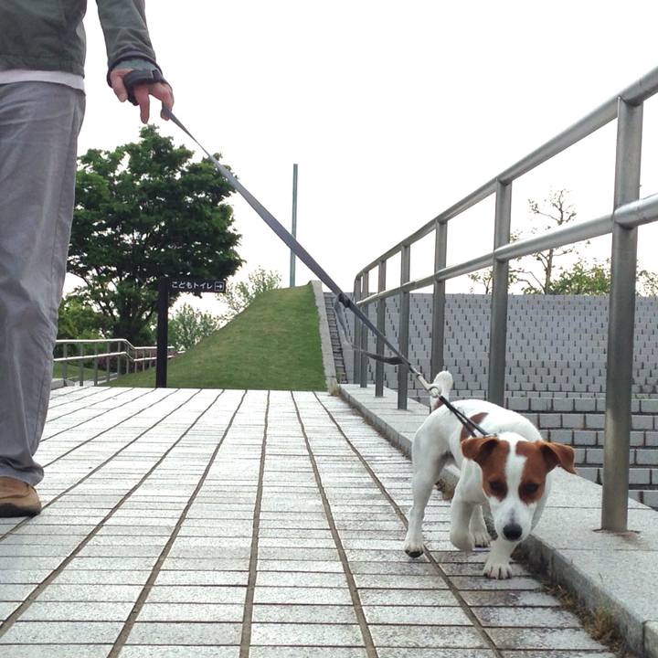 D98e371c bafb 4b22 b60d bab70690d75e