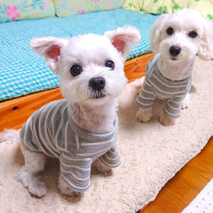 D98e459c b79f 42f6 ab18 06211878633f