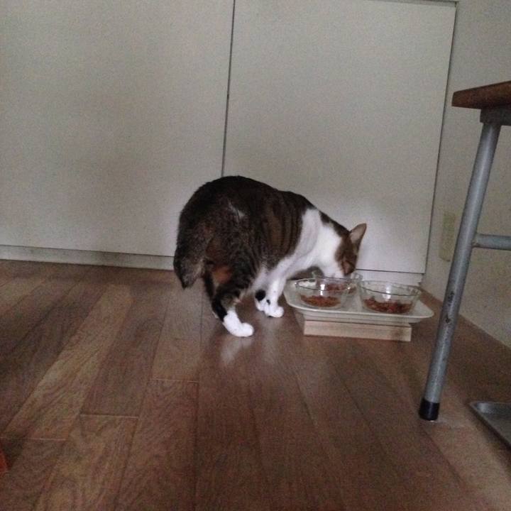 D98e92f5 19d7 4b09 9e5b da7f91b5b0a2