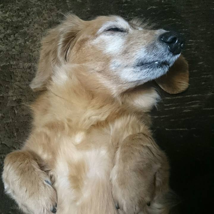 D98ec236 b058 4f0a 9f81 96b052103e2c