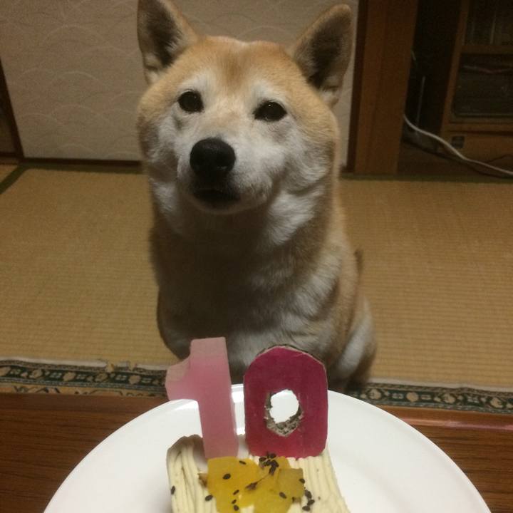 D98f17d5 d414 4198 9067 e10f7e048e11