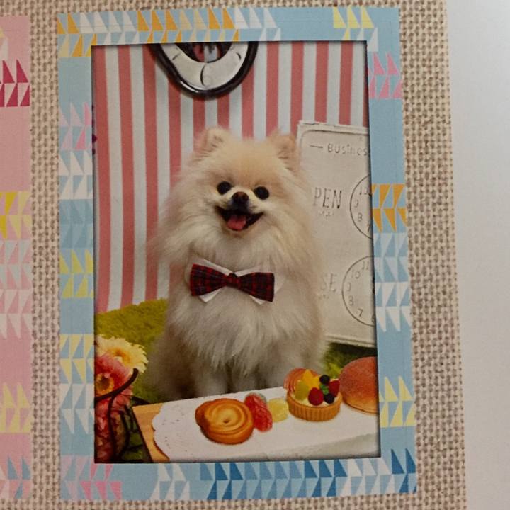 D98f46c6 514a 44b0 bdaa f72a04237c04