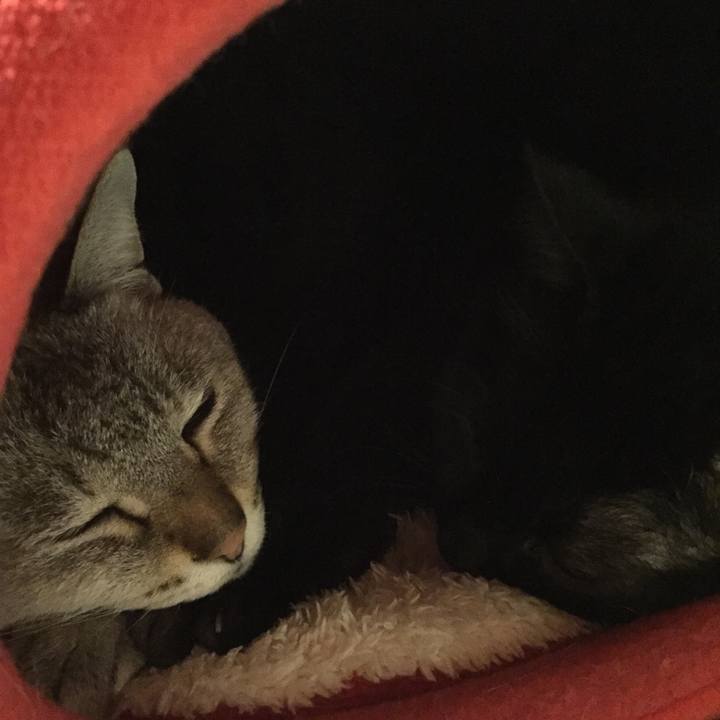 D98f6269 6a5c 4cba af06 1d6a521c3ede