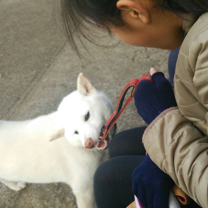 D98ffe6e 507c 4c4e 84ee d05eeef07dcc