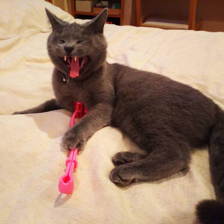 D990d19c 77f7 4725 8e43 9e5f55d63806