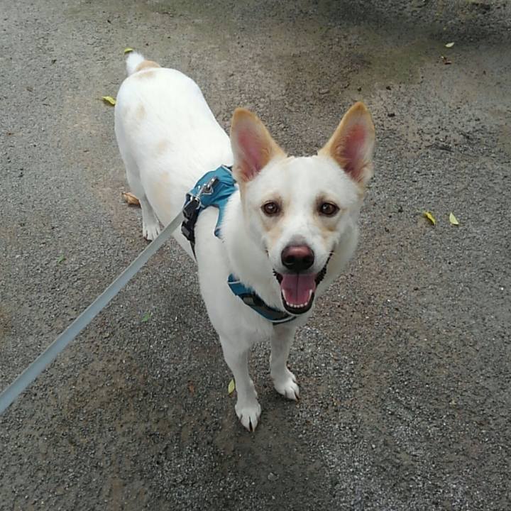 D9917448 3754 4e40 93df eaf394a212d1