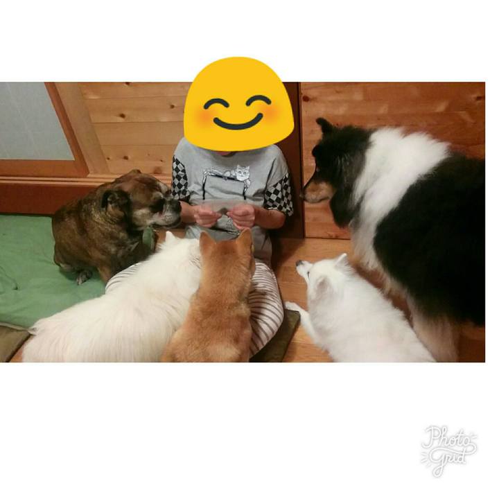 D991d848 94b8 4ea5 b448 62ddee97366a