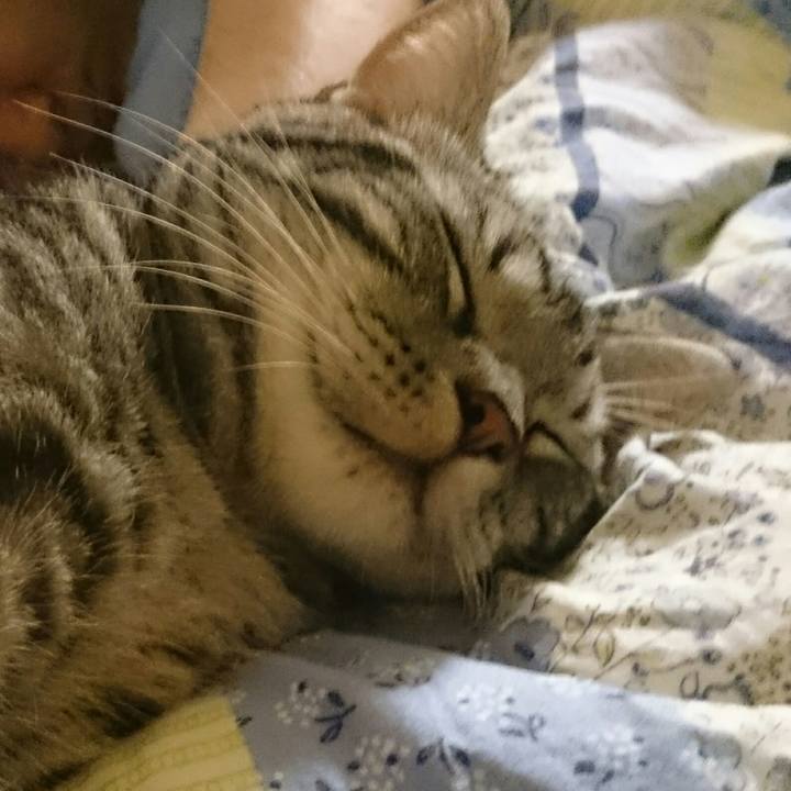 D9927c76 fa66 46c8 8518 53e222d7d104