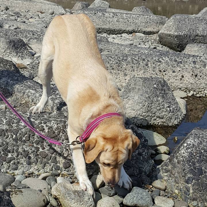 D992d19a e6f1 4ec0 8748 68415bb14d94