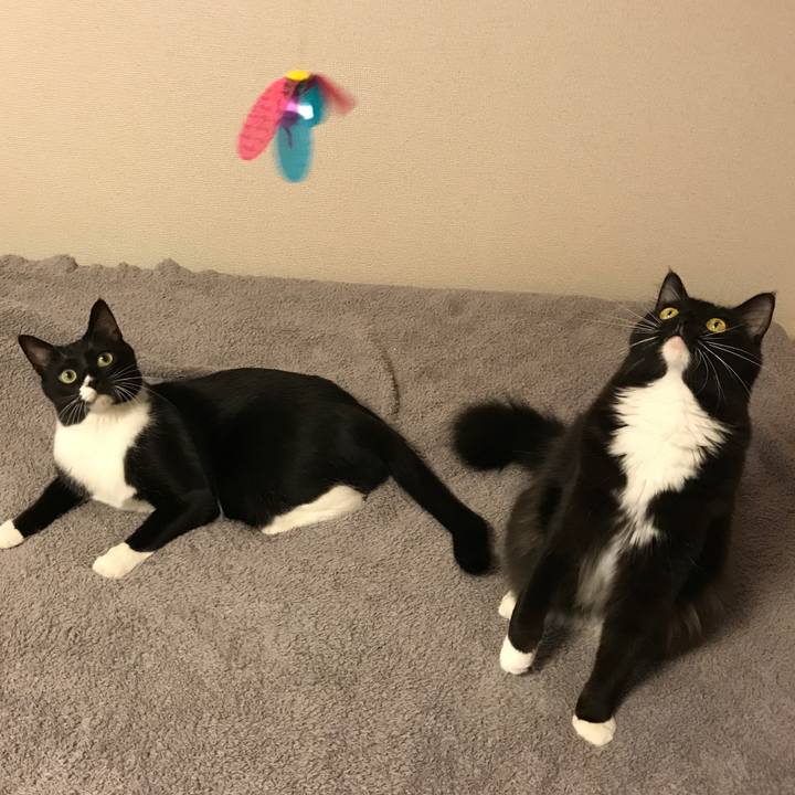 D992d83e 7cba 4d69 8979 da95497dd1ad