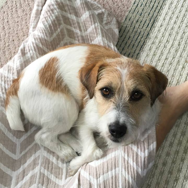 D9938a5c 5b3c 42b9 9bb8 09ce4a38d499