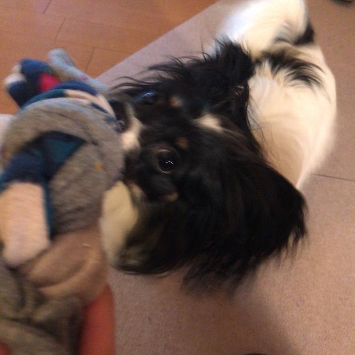 D993dca1 d996 4d1c 92ce 9a146e9a0137