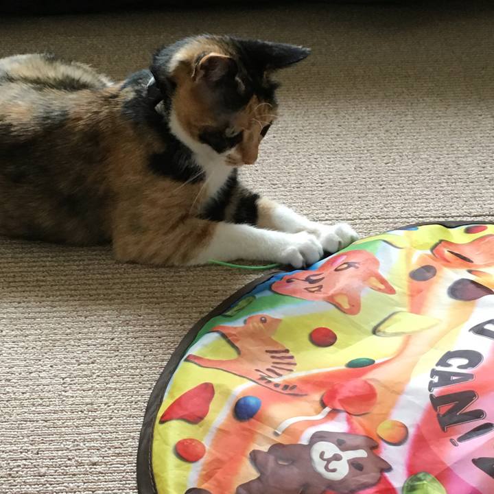 D993f5f4 f5b6 427d bf1e b0f3e60cd1a2