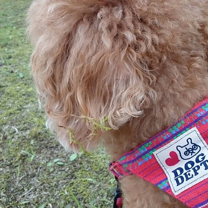 D9940a5f 34ff 4a77 903f 8dd2b22fb74a